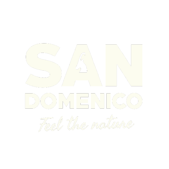 Home Logo San Domenico Ski