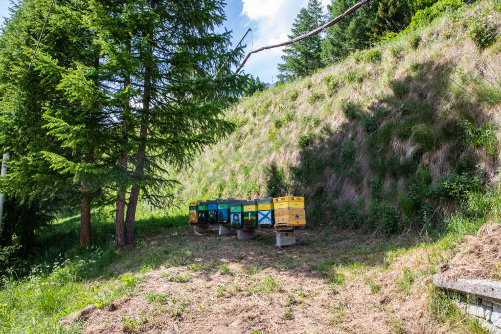 Progetto 4q4a1901