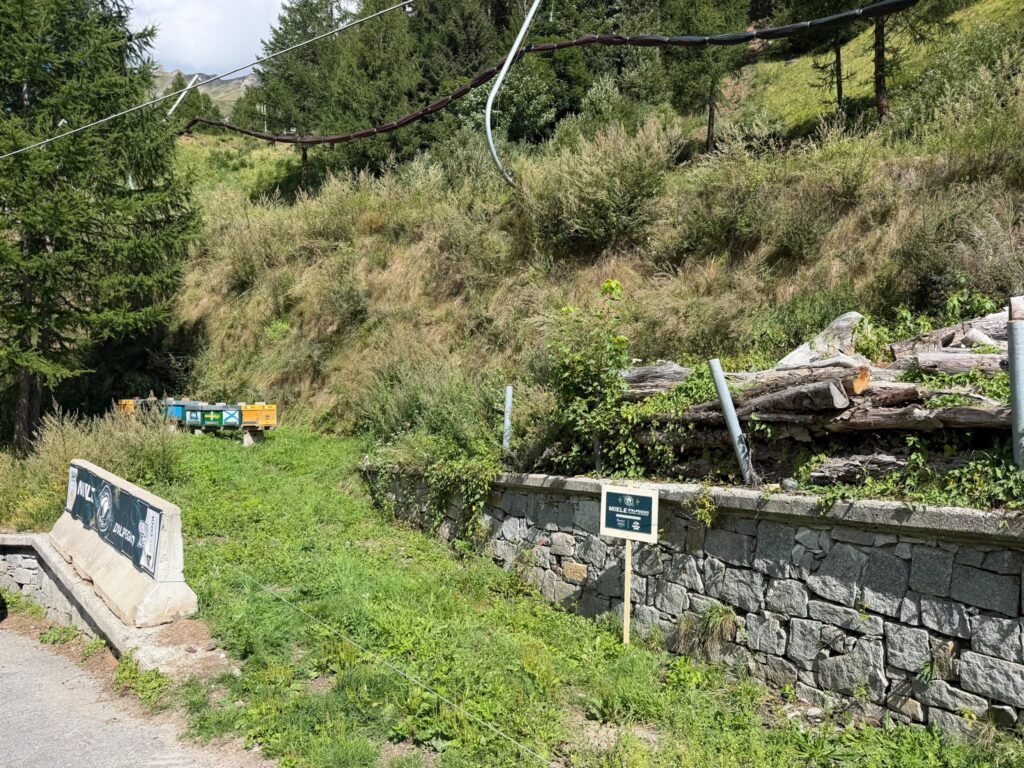 Progetto 33