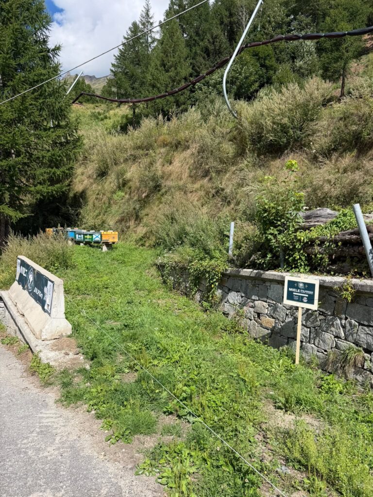 Progetto sm5