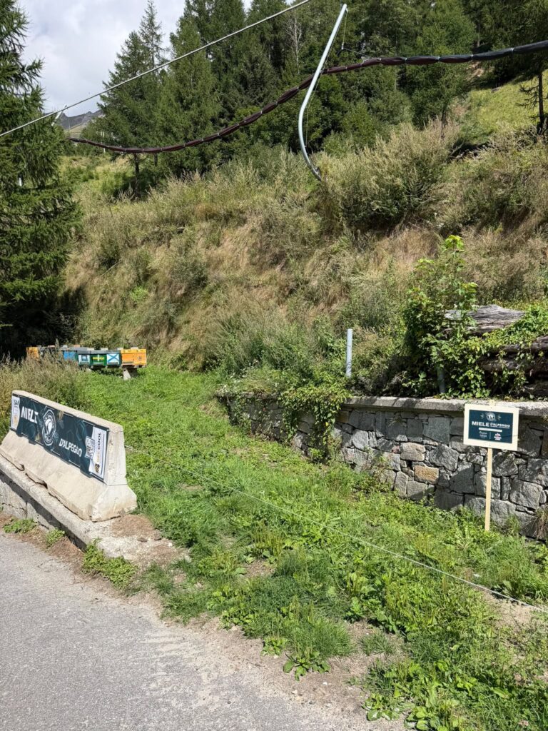 Progetto sm6